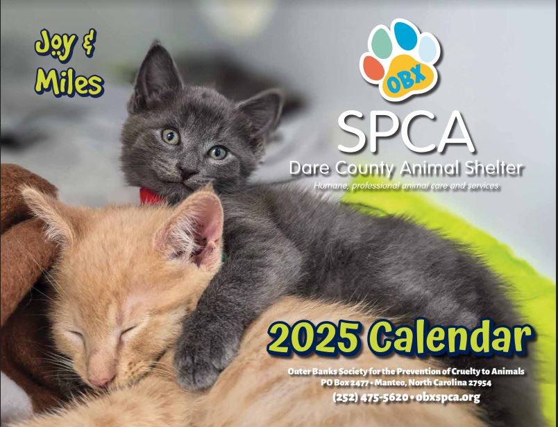 2025 Pet Calendar Outer Banks SPCA