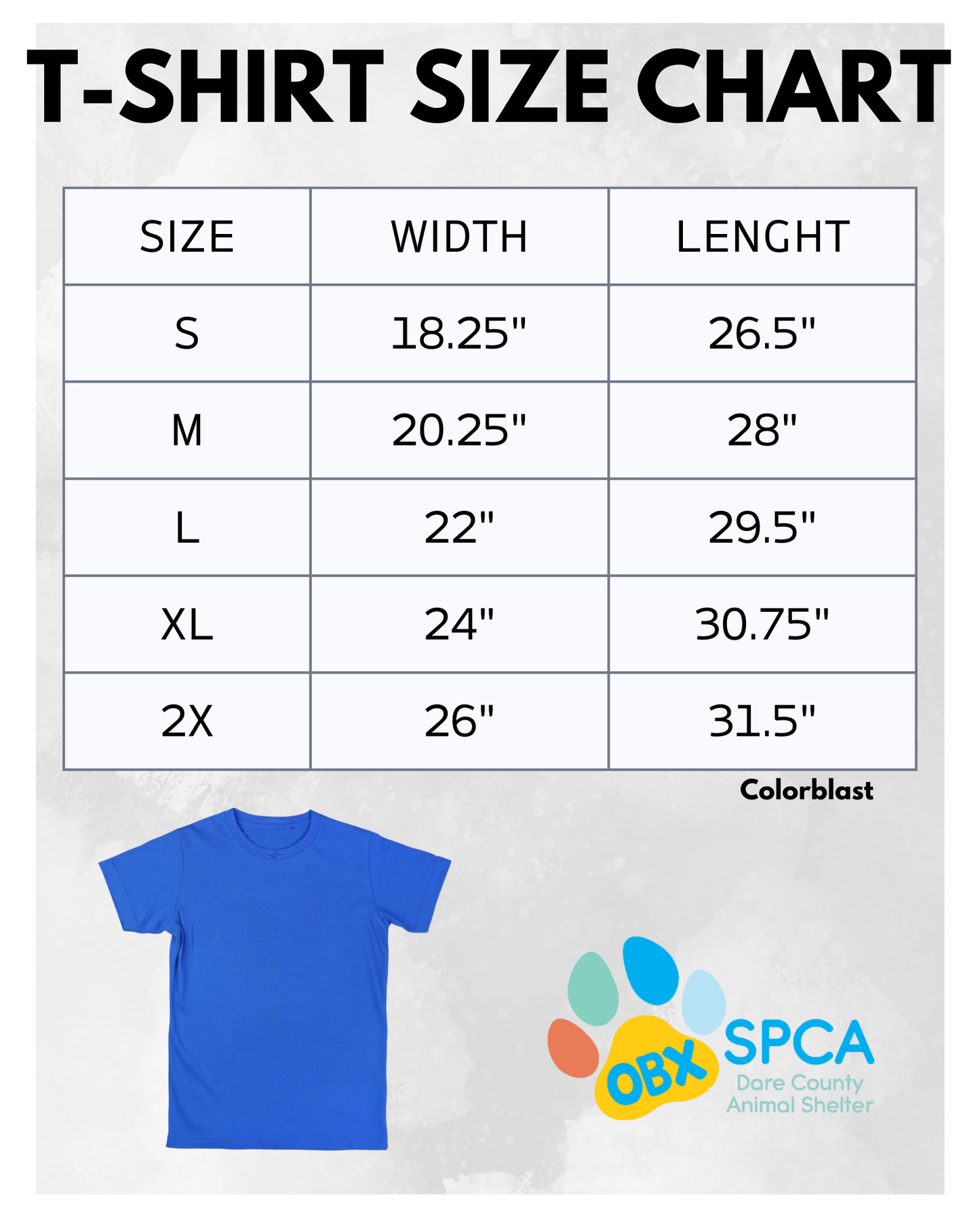 T-shirt Seaglass Comfort Colors Colorblast