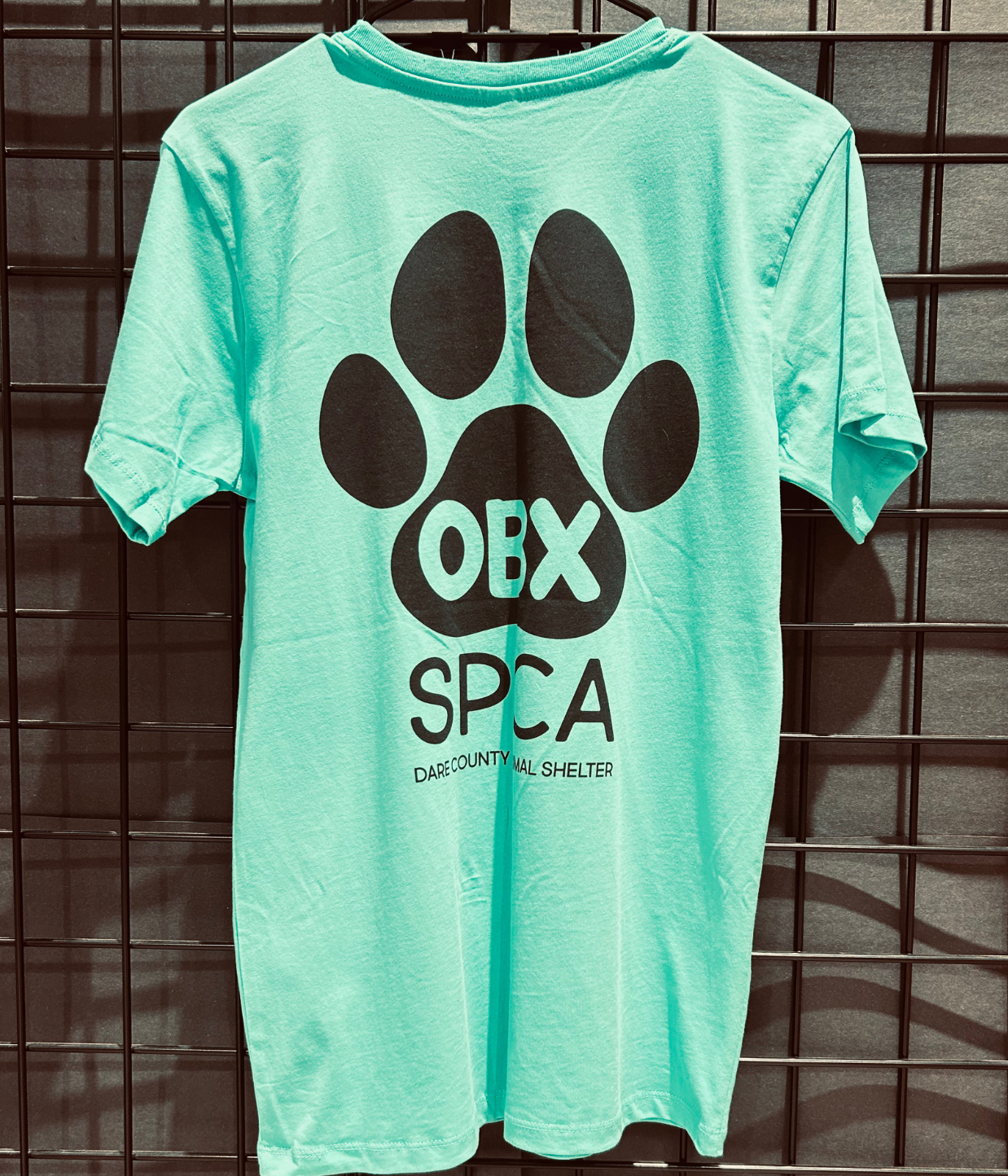 T-shirt Teal SoftShirts