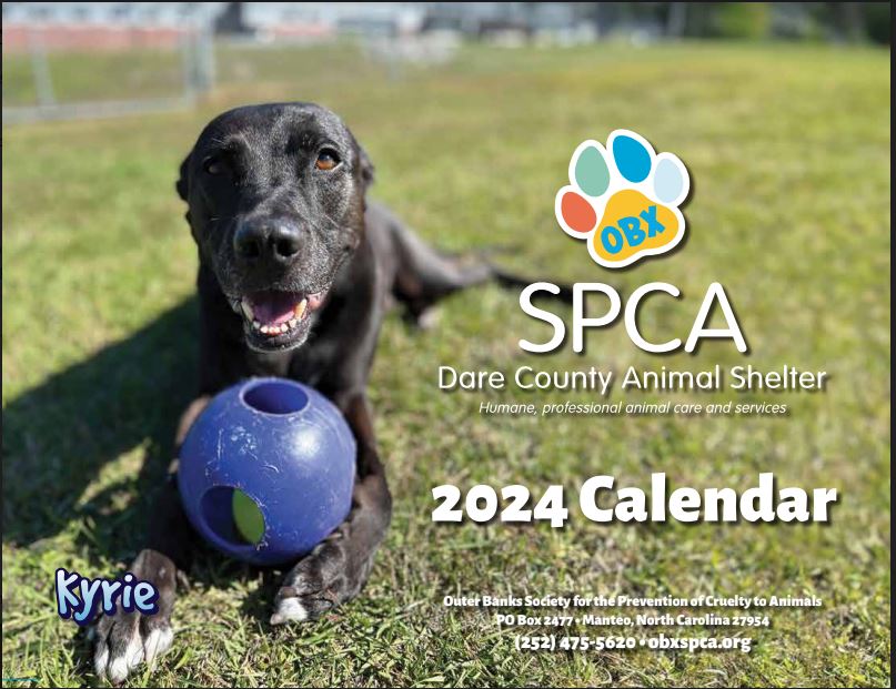 2024 Pet Calendar Outer Banks SPCA   CALNDAR 